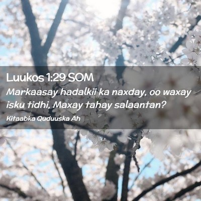 Picture 02 - Luukos 1:29 SOM - Markaasay hadalkii ka naxday, oo waxay isku - Bible Verse Picture