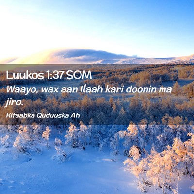 Picture 02 - Luukos 1:37 SOM - Waayo, wax aan Ilaah kari doonin ma - Bible Verse Picture