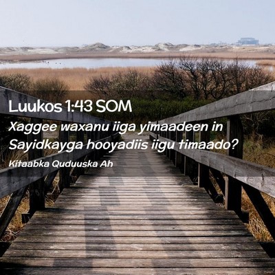 Picture 02 - Luukos 1:43 SOM - Xaggee waxanu iiga yimaadeen in Sayidkayga - Bible Verse Picture