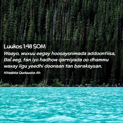 Picture 02 - Luukos 1:48 SOM - Waayo, wuxuu eegay hoosaysnimada addoontiisa, Bal - Bible Verse Picture