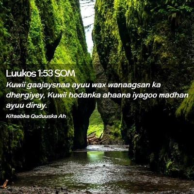 Picture 02 - Luukos 1:53 SOM - Kuwii gaajaysnaa ayuu wax wanaagsan ka dhergiyey, - Bible Verse Picture