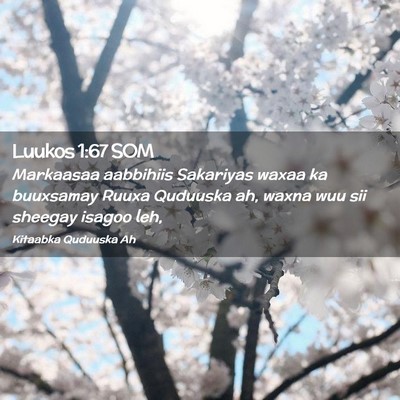Picture 02 - Luukos 1:67 SOM - Markaasaa aabbihiis Sakariyas waxaa ka buuxsamay - Bible Verse Picture