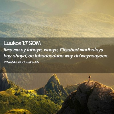 Picture 02 - Luukos 1:7 SOM - Ilmo ma ay lahayn, waayo, Elisabed madhalays bay - Bible Verse Picture