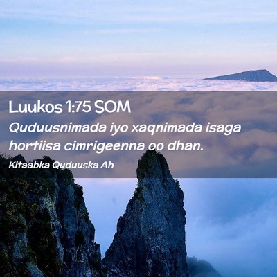 Picture 02 - Luukos 1:75 SOM - Quduusnimada iyo xaqnimada isaga hortiisa - Bible Verse Picture