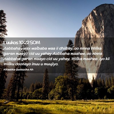 Picture 02 - Luukos 10:22 SOM - Aabbahay wax walbaba waa ii dhiibay; oo ninna - Bible Verse Picture