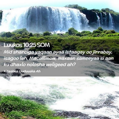 Picture 02 - Luukos 10:25 SOM - Mid sharciga yaqaan ayaa istaagay oo jirrabay, - Bible Verse Picture