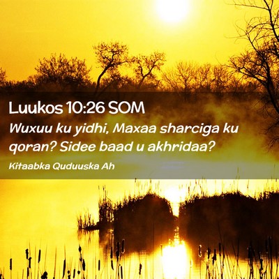 Picture 02 - Luukos 10:26 SOM - Wuxuu ku yidhi, Maxaa sharciga ku qoran? Sidee - Bible Verse Picture