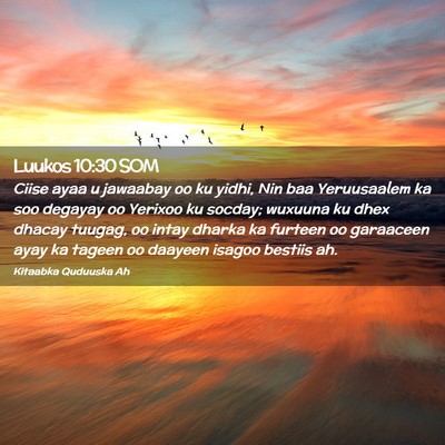 Picture 02 - Luukos 10:30 SOM - Ciise ayaa u jawaabay oo ku yidhi, Nin baa - Bible Verse Picture
