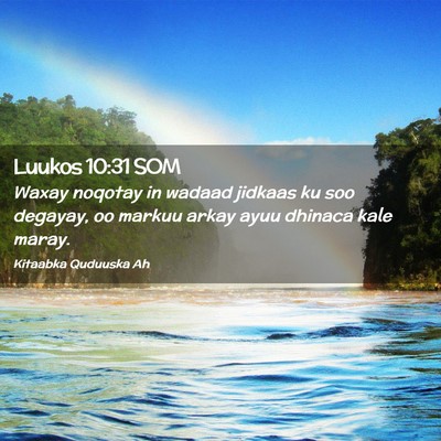 Picture 02 - Luukos 10:31 SOM - Waxay noqotay in wadaad jidkaas ku soo degayay, - Bible Verse Picture