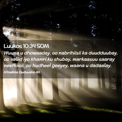 Picture 02 - Luukos 10:34 SOM - Wuuna u dhowaaday, oo nabrihiisii ka duudduubay, - Bible Verse Picture