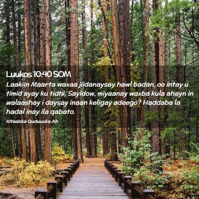 Picture 02 - Luukos 10:40 SOM - Laakiin Maarta waxaa jiidanaysay hawl badan, oo - Bible Verse Picture