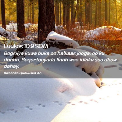Picture 02 - Luukos 10:9 SOM - Bogsiiya kuwa buka oo halkaas jooga, oo ku dhaha, - Bible Verse Picture