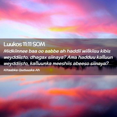 Picture 02 - Luukos 11:11 SOM - Midkiinnee baa oo aabbe ah haddii wiilkiisu kibis - Bible Verse Picture
