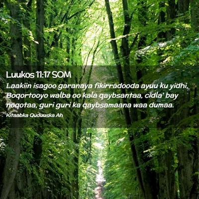 Picture 02 - Luukos 11:17 SOM - Laakiin isagoo garanaya fikirradooda ayuu ku - Bible Verse Picture