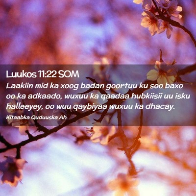 Picture 02 - Luukos 11:22 SOM - Laakiin mid ka xoog badan goortuu ku soo baxo oo - Bible Verse Picture