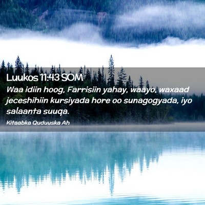 Picture 02 - Luukos 11:43 SOM - Waa idiin hoog, Farrisiin yahay, waayo, waxaad - Bible Verse Picture