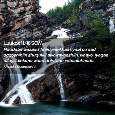 Picture 02 - Luukos 11:48 SOM - Haddaba waxaad tihiin markhaatiyaal oo aad - Bible Verse Picture