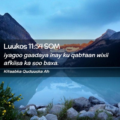Picture 02 - Luukos 11:54 SOM - iyagoo gaadaya inay ku qabtaan wixii afkiisa ka - Bible Verse Picture