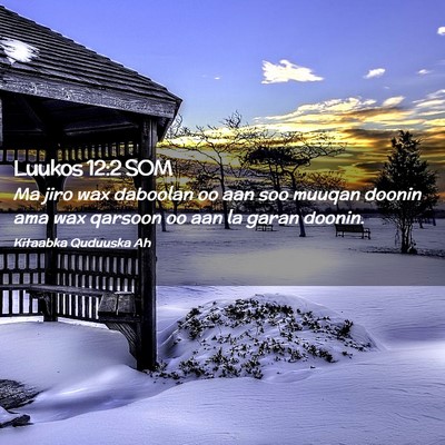 Picture 02 - Luukos 12:2 SOM - Ma jiro wax daboolan oo aan soo muuqan doonin ama - Bible Verse Picture