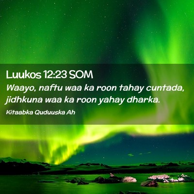 Picture 02 - Luukos 12:23 SOM - Waayo, naftu waa ka roon tahay cuntada, jidhkuna - Bible Verse Picture