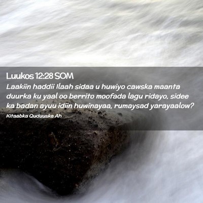 Picture 02 - Luukos 12:28 SOM - Laakiin haddii Ilaah sidaa u huwiyo cawska maanta - Bible Verse Picture