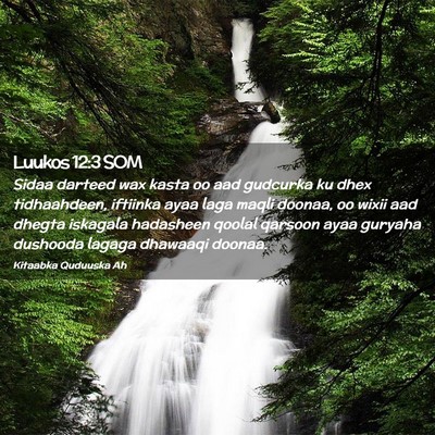 Picture 02 - Luukos 12:3 SOM - Sidaa darteed wax kasta oo aad gudcurka ku dhex - Bible Verse Picture