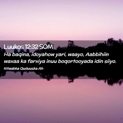 Picture 02 - Luukos 12:32 SOM - Ha baqina, idoyahow yari, waayo, Aabbihiin waxaa - Bible Verse Picture
