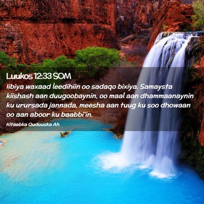 Picture 02 - Luukos 12:33 SOM - Iibiya waxaad leedihiin oo sadaqo bixiya. - Bible Verse Picture