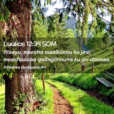 Picture 02 - Luukos 12:34 SOM - Waayo, meesha maalkiinnu ku jiro, meeshaasaa - Bible Verse Picture