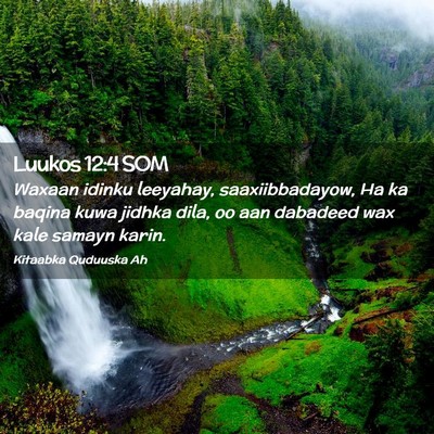 Picture 02 - Luukos 12:4 SOM - Waxaan idinku leeyahay, saaxiibbadayow, Ha ka - Bible Verse Picture
