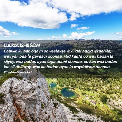 Picture 02 - Luukos 12:48 SOM - Laakiin kii aan ogayn oo yeelayse wixii garaacid - Bible Verse Picture