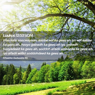 Picture 02 - Luukos 12:53 SOM - Waa kala soocmayaan, aabbe wiil ka gees ah iyo - Bible Verse Picture