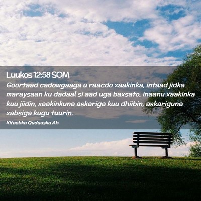 Picture 02 - Luukos 12:58 SOM - Goortaad cadowgaaga u raacdo xaakinka, intaad - Bible Verse Picture