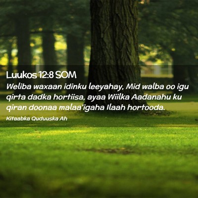 Picture 02 - Luukos 12:8 SOM - Weliba waxaan idinku leeyahay, Mid walba oo igu - Bible Verse Picture