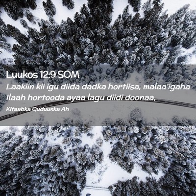 Picture 02 - Luukos 12:9 SOM - Laakiin kii igu diida dadka hortiisa, malaa'igaha - Bible Verse Picture