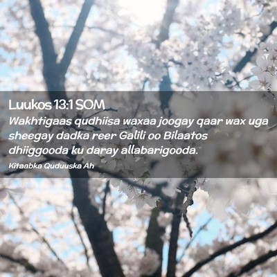Picture 02 - Luukos 13:1 SOM - Wakhtigaas qudhiisa waxaa joogay qaar wax uga - Bible Verse Picture