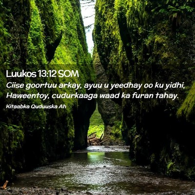 Picture 02 - Luukos 13:12 SOM - Ciise goortuu arkay, ayuu u yeedhay oo ku yidhi, - Bible Verse Picture