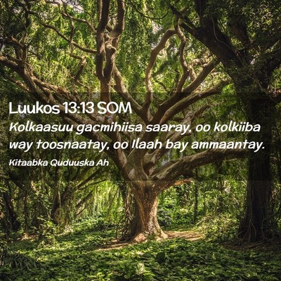 Picture 02 - Luukos 13:13 SOM - Kolkaasuu gacmihiisa saaray, oo kolkiiba way - Bible Verse Picture