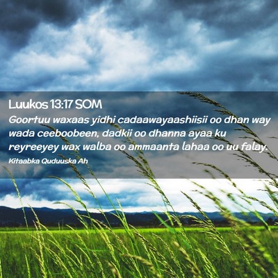 Picture 02 - Luukos 13:17 SOM - Goortuu waxaas yidhi cadaawayaashiisii oo dhan - Bible Verse Picture