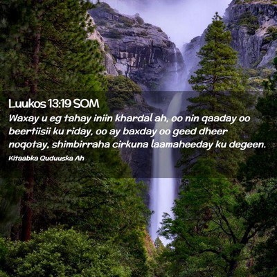 Picture 02 - Luukos 13:19 SOM - Waxay u eg tahay iniin khardal ah, oo nin qaaday - Bible Verse Picture