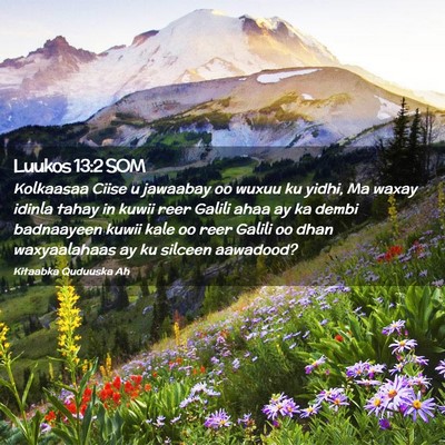 Picture 02 - Luukos 13:2 SOM - Kolkaasaa Ciise u jawaabay oo wuxuu ku yidhi, Ma - Bible Verse Picture