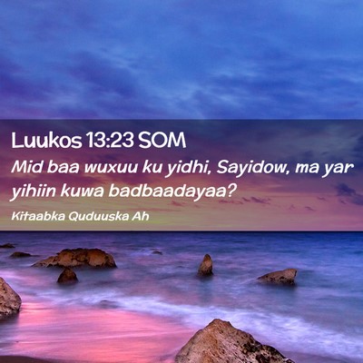 Picture 02 - Luukos 13:23 SOM - Mid baa wuxuu ku yidhi, Sayidow, ma yar yihiin - Bible Verse Picture