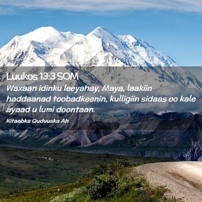 Picture 02 - Luukos 13:3 SOM - Waxaan idinku leeyahay, Maya, laakiin haddaanad - Bible Verse Picture