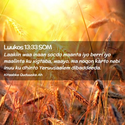Picture 02 - Luukos 13:33 SOM - Laakiin waa inaan socdo maanta iyo berri iyo - Bible Verse Picture