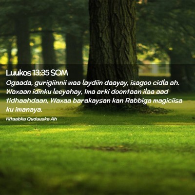 Picture 02 - Luukos 13:35 SOM - Ogaada, gurigiinnii waa laydiin daayay, isagoo - Bible Verse Picture