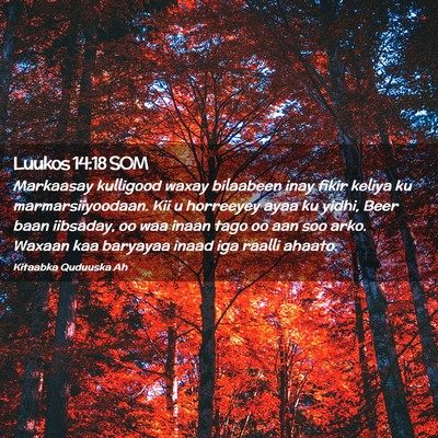 Picture 02 - Luukos 14:18 SOM - Markaasay kulligood waxay bilaabeen inay fikir - Bible Verse Picture