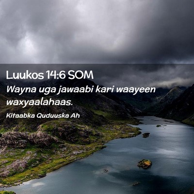 Picture 02 - Luukos 14:6 SOM - Wayna uga jawaabi kari waayeen - Bible Verse Picture