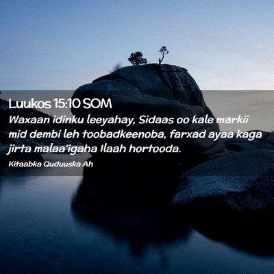 Picture 02 - Luukos 15:10 SOM - Waxaan idinku leeyahay, Sidaas oo kale markii mid - Bible Verse Picture