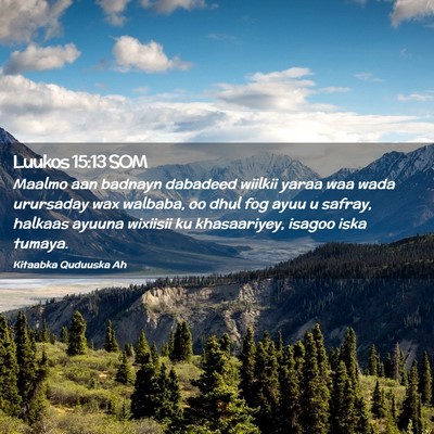 Picture 02 - Luukos 15:13 SOM - Maalmo aan badnayn dabadeed wiilkii yaraa waa - Bible Verse Picture