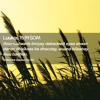 Picture 02 - Luukos 15:14 SOM - Goortuu wada bixiyey dabadeed ayaa abaar daran - Bible Verse Picture